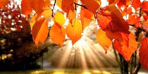 AUTUMN WIFF 19 sept