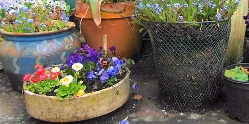 Container Gardening Workshop