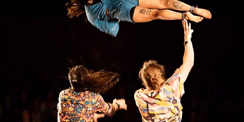 Foutoir C\u00e9leste du Cirque Exalt\u00e9