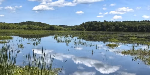 A T\u00fal part t\u00fal messze van Gyalogos\/ Fut\u00f3\/ Ker\u00e9kp\u00e1ros Tisza t\u00f3 k\u00f6r 