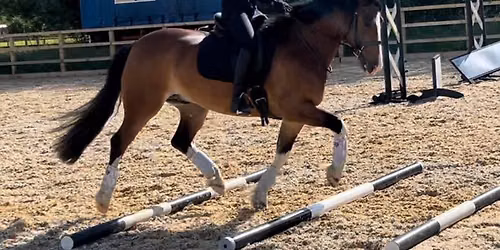 Verity franks Pole Clinic