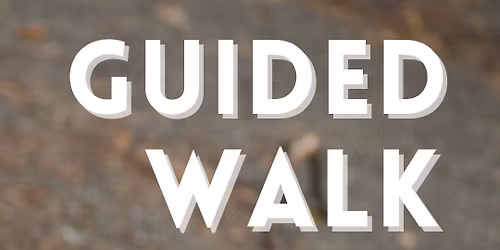 Family Friendly Guided Walk - Winter Bird Walk at Quidi Vidi Lake