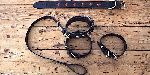 Traditional Leatherwork: Dog Collar or Belt with Alison Berton