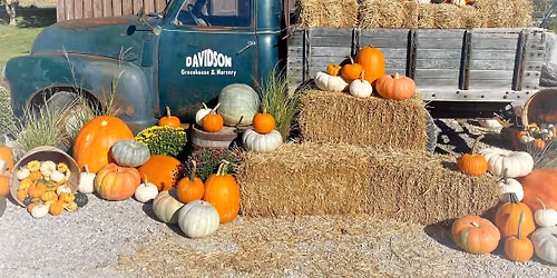 2026 Davidson's Harvest Festival!
