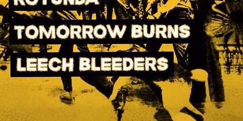 ASSERT \/ ROTUNDA \/ TOMORROW BURNS \/ LEECH BLEEDERS LIVE @ DIVE, WOLVERHAMPTON