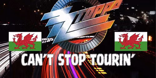 ZZ TOPPD- SWANSEA