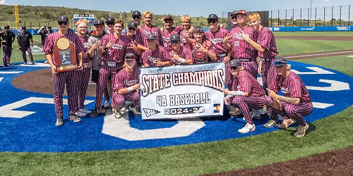 Little Ricci's Baseball Fundraiser