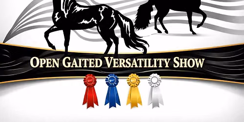 Open Gaited Versatility Show