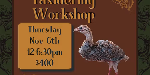 Juvenile Chick Taxidermy Workshops