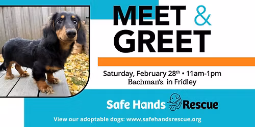 Safe Hands Rescue Meet & Greet at Bachman's Fridley