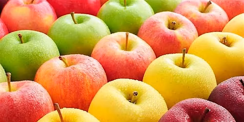 Amazing Apples