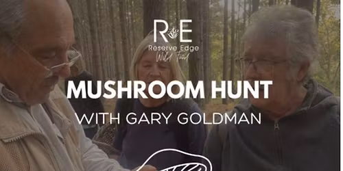 Mushroom Hunt