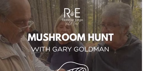 Mushroom Hunt