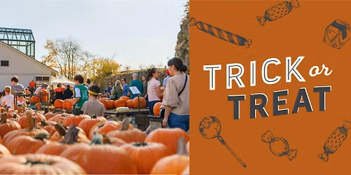 Trick or Treat at Mahoney's Falmouth