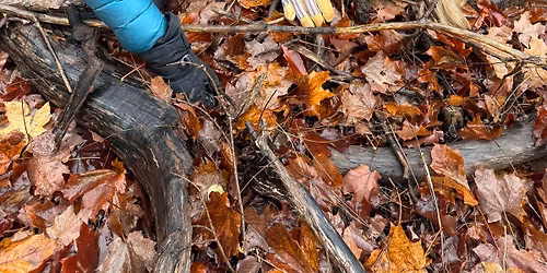 SOLO Wilderness First Aid