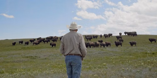 Natural History on the Big Screen: Bring Them Home Screening and Q&A