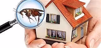Ask the Expert: Pest Inspections 101
