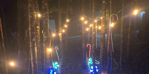 Christmas Family Photos 