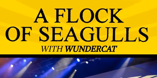 A Flock of Seagulls at Uptown Theatre Napa