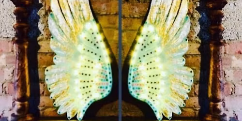 Lit Angel Wing Paper Mache Course