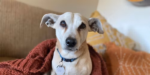 Volunteer Appreciation Lunch: Fall Season