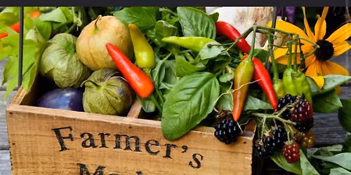Farmer\u2019s Market at StoryPoint Granger