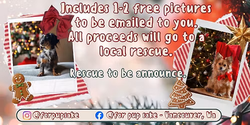 Pawliday Pet Portraits