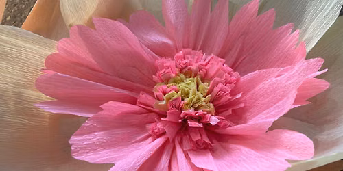 Giant Paper Flower Workshop