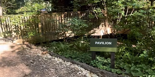 Sound Bath at Woodlands Garden