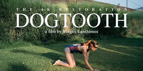 Dogtooth \u2013 New 4K Restoration