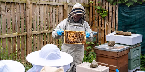 WP Nature Trail - The Little Beekeepers Club