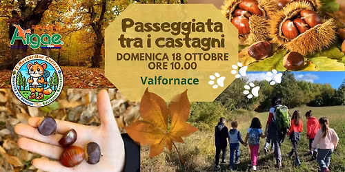 Passeggiata tra i castagni