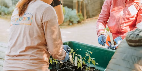 Introduction to Vegetable Gardening