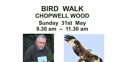 Bird Walk