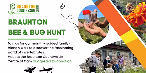 Braunton Bee & Bug Hunt