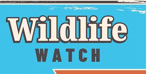 Table at Cascadia College's Wildlife Watch 