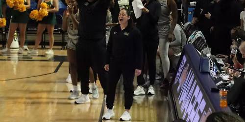 McNeese State Cowgirls at Southeastern Louisiana Lions Womens Basketball at University Center SELU