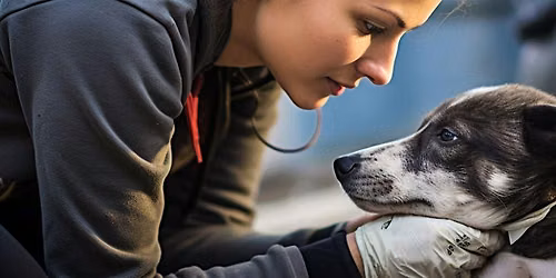 Midwest Small Breed Rescue Annual Fundraiser
