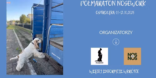 Półmaraton Nosework Ostrołęka