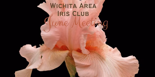 June Club Meeting | Iris in the Yard