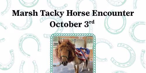 Marsh Tacky Horse Encounter