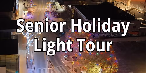 Senior Holiday Light Tour