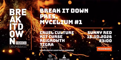 Break it Down pres. Mycelium #1