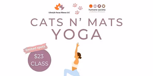 Cats N Mats Yoga
