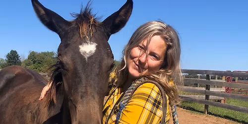 Colordale Farm Foal Handling Clinic