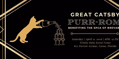 Purr-rom 2026 - Great Catsby
