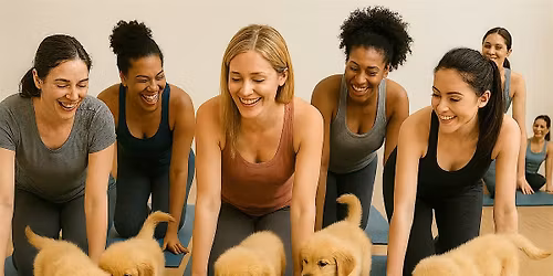 Puppy Yoga - December 21st with Golden Retrievers