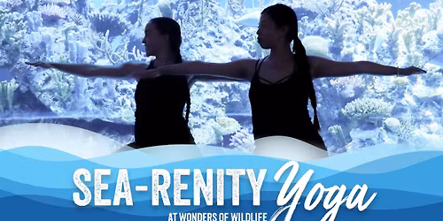 SEArenity Yoga at Wonders of Wildlife