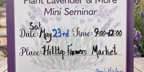 Plant Your Own Lavender: Mini Seminar, Memorial Day Weekend!