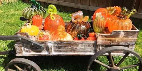 NW Glass Pumpkin Patch- Watson's Greenhouse & Nursery Olympia